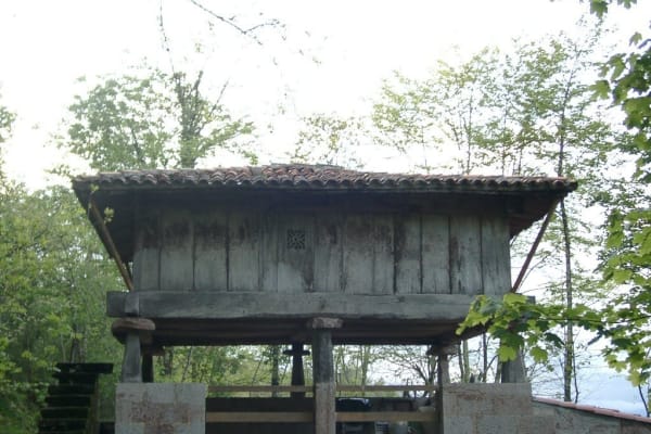 Foto 55 da atividade Galeria de Fotos