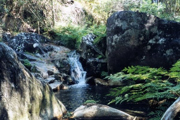 Foto 2 da atividade Galeria de Fotos