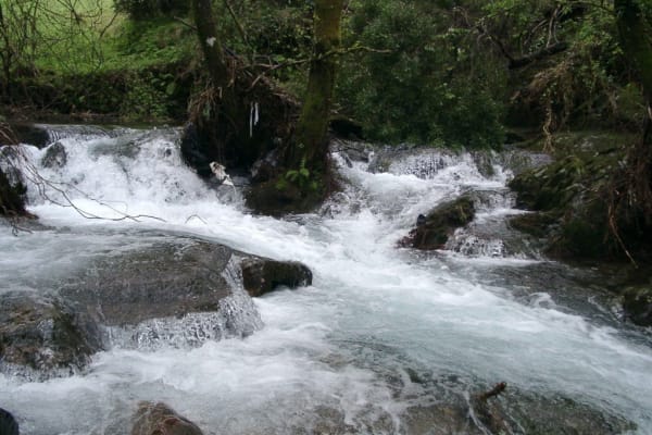 Foto 50 da atividade Galeria de Fotos