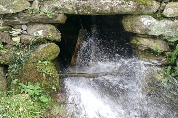 Foto 27 da atividade Galeria de Fotos