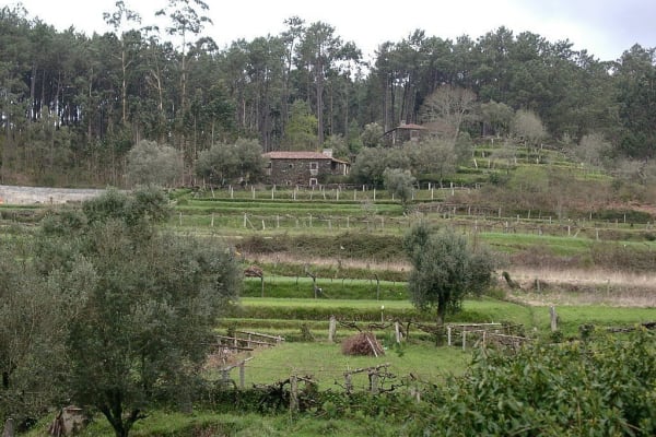 Foto 3 da atividade Galeria de Fotos