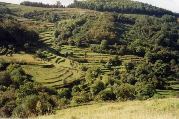 Foto 10 da atividade Galeria de Fotos