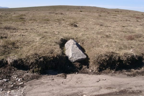 Foto 88 da atividade Galeria de Fotos