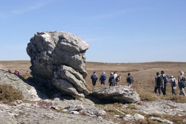 Foto 82 da atividade Galeria de Fotos