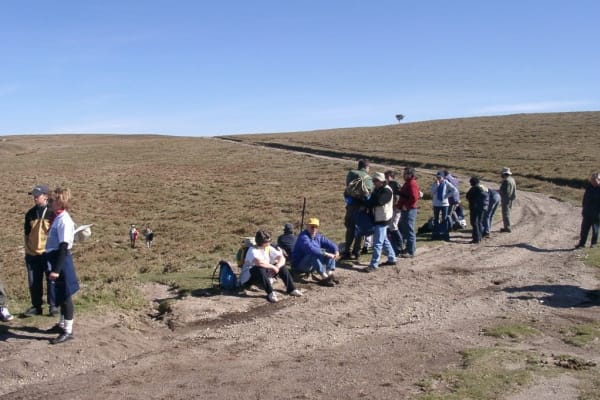 Foto 72 da atividade Galeria de Fotos