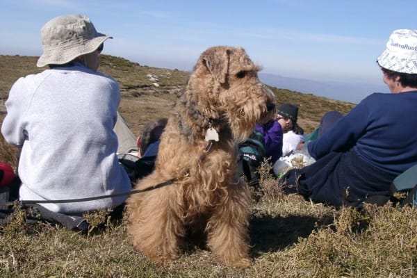 Foto 17 da atividade Galeria de Fotos