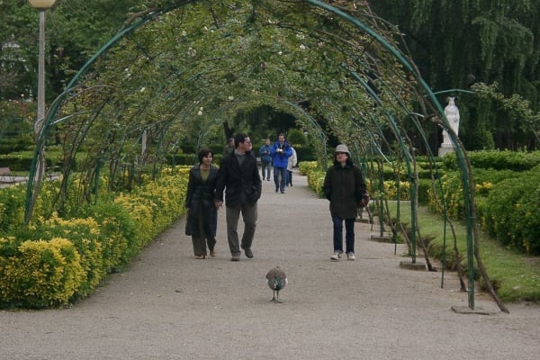 Foto 9 da atividade Galeria de Fotos