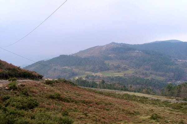 Foto 114 da atividade Galeria de Fotos