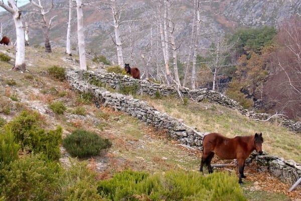 Foto 112 da atividade Galeria de Fotos