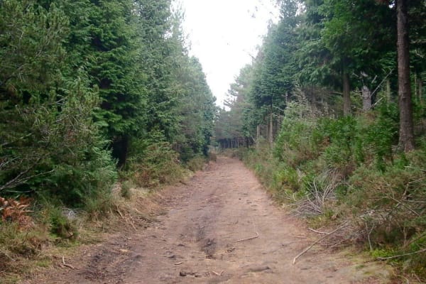 Foto 107 da atividade Galeria de Fotos