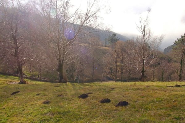 Foto 91 da atividade Galeria de Fotos