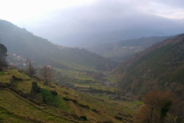 Foto 86 da atividade Galeria de Fotos