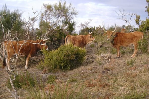 Foto 75 da atividade Galeria de Fotos