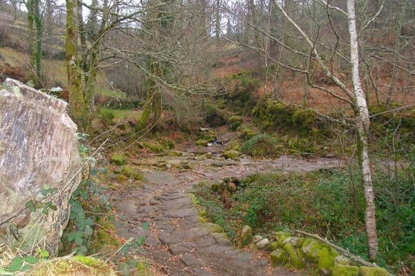 Foto 57 da atividade Galeria de Fotos