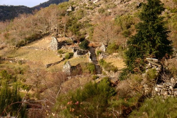 Foto 38 da atividade Galeria de Fotos