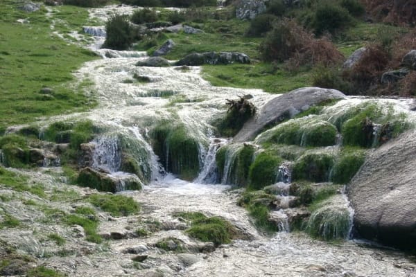 Foto 63 da atividade Galeria de Fotos