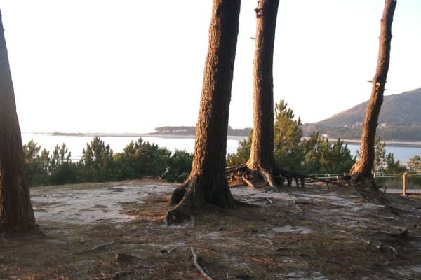 Foto 64 da atividade Galeria de Fotos