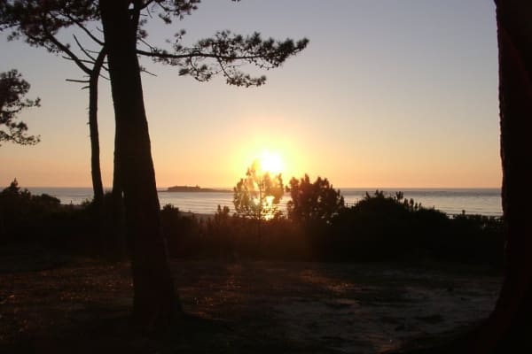 Foto 58 da atividade Galeria de Fotos