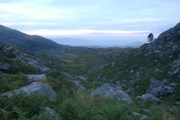 Foto 88 da atividade Galeria de Fotos