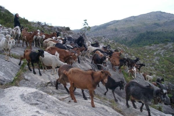 Foto 8 da atividade Galeria de Fotos