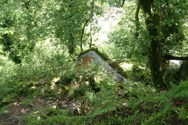 Foto 139 da atividade Galeria de Fotos