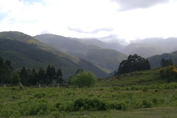 Foto 138 da atividade Galeria de Fotos