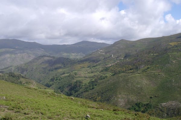 Foto 125 da atividade Galeria de Fotos