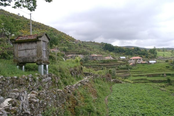 Foto 117 da atividade Galeria de Fotos