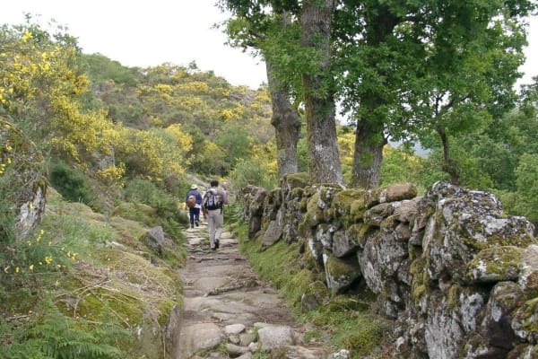 Foto 115 da atividade Galeria de Fotos