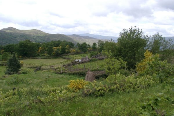 Foto 114 da atividade Galeria de Fotos