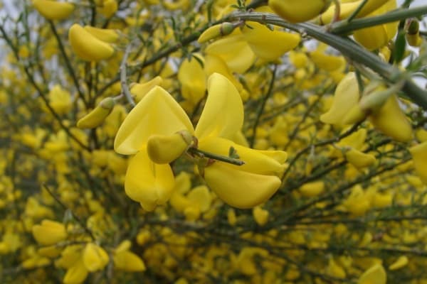 Foto 106 da atividade Galeria de Fotos