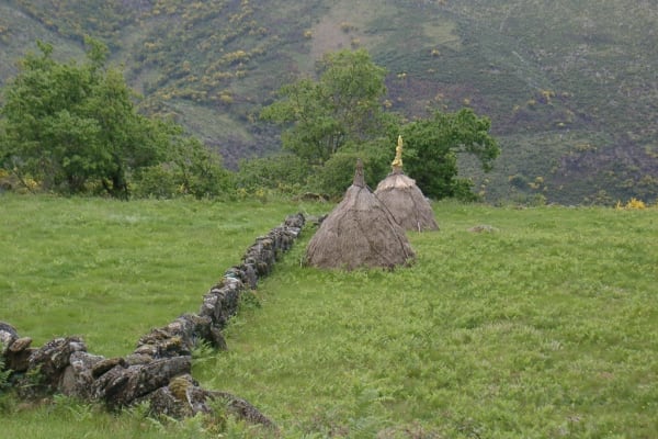 Foto 102 da atividade Galeria de Fotos