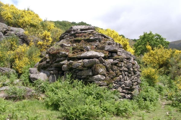 Foto 71 da atividade Galeria de Fotos