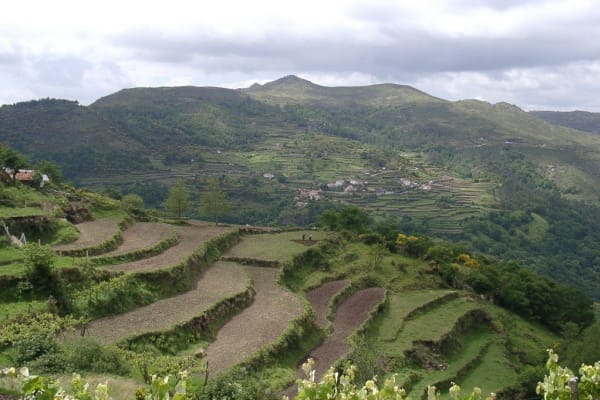 Foto 44 da atividade Galeria de Fotos