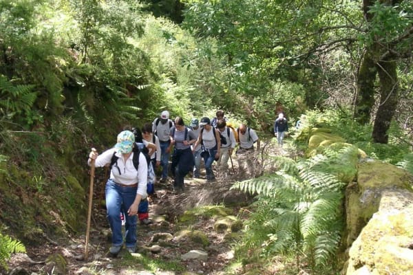 Foto 20 da atividade Galeria de Fotos