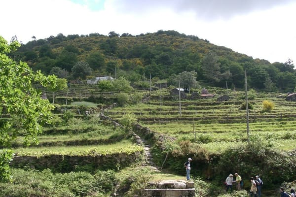 Foto 19 da atividade Galeria de Fotos