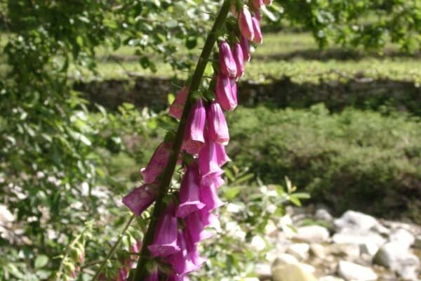 Foto 10 da atividade Galeria de Fotos