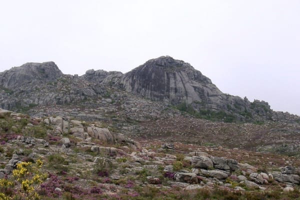 Foto 79 da atividade Galeria de Fotos