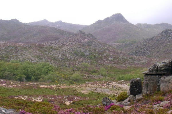 Foto 71 da atividade Galeria de Fotos