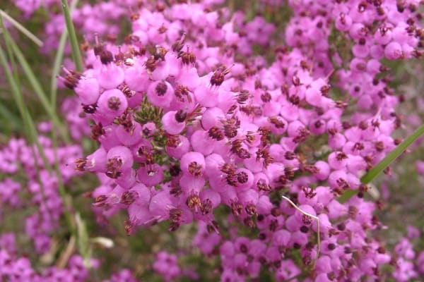 Foto 64 da atividade Galeria de Fotos