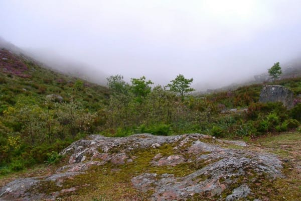 Foto 57 da atividade Galeria de Fotos