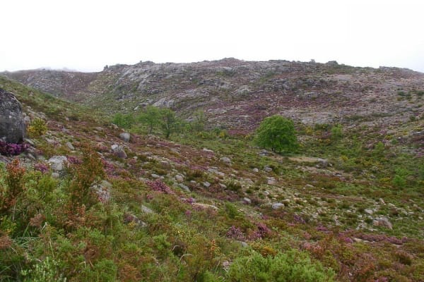 Foto 45 da atividade Galeria de Fotos