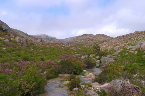 Foto 38 da atividade Galeria de Fotos