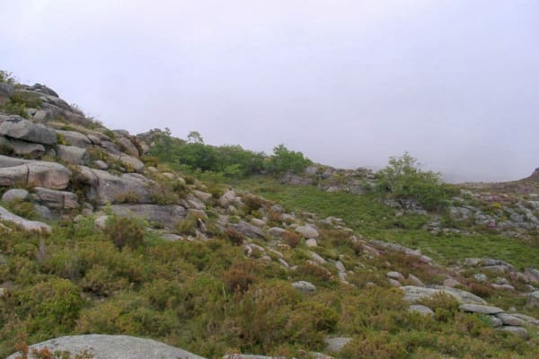 Foto 30 da atividade Galeria de Fotos