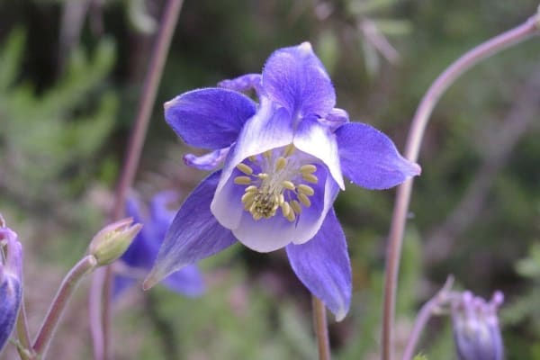 Foto 2 da atividade Galeria de Fotos