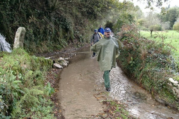 Foto 72 da atividade Galeria de Fotos