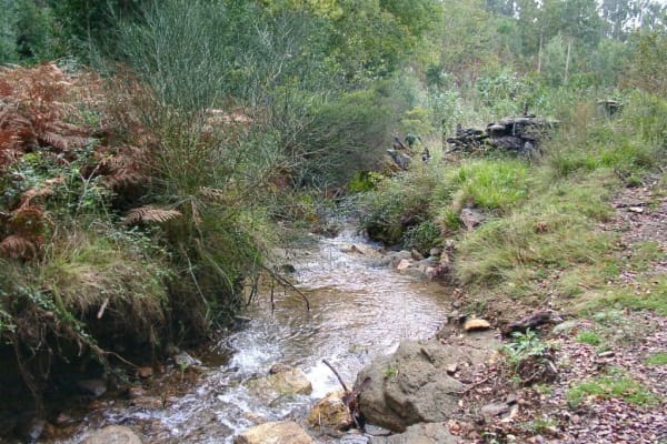 Foto 70 da atividade Galeria de Fotos