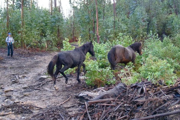 Foto 36 da atividade Galeria de Fotos