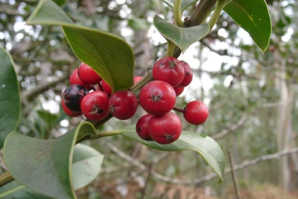 Foto 30 da atividade Galeria de Fotos