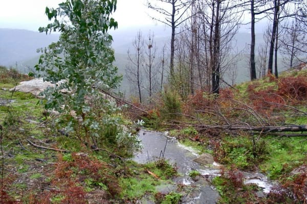 Foto 19 da atividade Galeria de Fotos